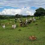 Fazenda à venda, 968000 m² por R$ 5.300.000,00 - Zona Rural Hidrolandia - Hidrolândia/GO