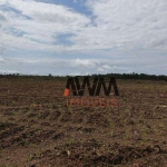 Fazenda à venda, 38136780 m² por R$ 40.000.000,00 - Zona Rural - Monte do Carmo/TO