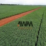 Fazenda à venda, 7066400 m² por R$ 24.000.000,00 - Centro - Paraíso do Tocantins/TO