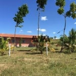 Fazenda à venda, 39688000 m² por R$ 123.000.000,00 - Setor Central - Araguaína/TO