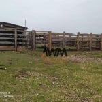 Fazenda à venda, 6872800 m² por R$ 15.000.000,00 - Centro - Cristalândia/TO