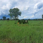 Fazenda à venda, 2153800 m² por R$ 4.350.000,00 - Zona Rural - Minaçu/GO