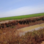 Fazenda à venda, 7260 ha por R$ 225.000.000 - Javaés - Lagoa da  Confusão/TO