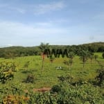 Fazenda à venda, 51691200 m² por R$ 37.080.000,00 - Centro - Miracema/TO