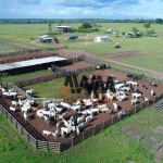 Fazenda à venda, 62800000 m² por R$ 130.000.000,00 - Zona Rural - Paranatinga/MT