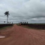 Fazenda à venda, 256920000 m² por R$ 1.500.000.000,00 - Zona Rural - Arapoema/TO