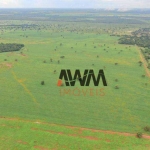 Fazenda à venda, 5227 HA por R$ 150.000.000 - Javaés - Lagoa da  Confusão/TO