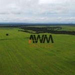 Fazenda à venda, 48400 Hectares por R$ 120.000.000 - Centro - Formosa/GO