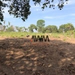 Fazenda à venda, 1.461,68 Hectares   por R$ 10.000.000 - Zona Rural - Cocalinho/MT