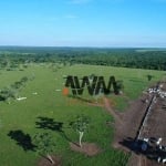 Fazenda à venda, 62800000 m² por R$ 120.000.000,00 - Vila Nova - Paranatinga/MT