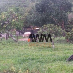 Fazenda à venda, 77.44 hectares por R$ 3.200.000 - Centro - Goiás/GO