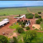 Fazenda à venda, 390000000 m² por R$ 650.000.000,00 - Zona Rural - Confresa/MT