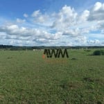 Fazenda à venda, 1548800 m² por R$ 6.400.000,00 - Zona Rural - Itapuranga/GO