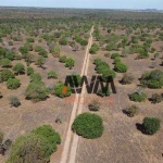 Fazenda à venda, 70760800 m² por R$ 190.000.000,00 - Zona Rural - Silvanópolis/TO