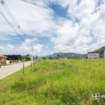 Terreno à venda na Maria Garcia Coelho, 1, Centro, Antônio Carlos