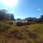 Área para alugar, Morada dos Pássaros - Uberlândia/MG - Rotina Imobiliária