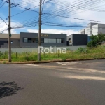 Área para alugar, Jardim Botânico - Uberlândia/MG - Rotina Imobiliária