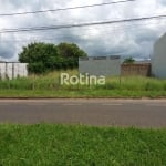 Área para alugar, Jardim Botânico - Uberlândia/MG - Rotina Imobiliária