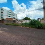 Área para alugar, Patrimônio - Uberlândia/MG - Rotina Imobiliária