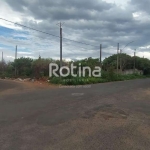 Terreno para alugar, Segismundo Pereira - Uberlândia/MG - Rotina Imobiliária