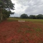 Área para alugar, Zona Rural - Uberlândia/MG - Rotina Imobiliária