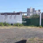 Terreno para alugar, Vigilato Pereira - Uberlândia/MG - Rotina Imobiliária