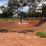 Terreno para alugar, Distrito Industrial - Uberlândia/MG - Rotina Imobiliária