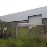 Galpão para alugar, Distrito Industrial - Uberlândia/MG - Rotina Imobiliária