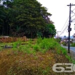 Terreno | Joinville | Bom Retiro