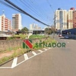 Terreno para alugar, 750 m² por R$ 3.500/mês - Centro - Londrina/PR