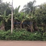 Terreno comercial à venda na Rua João Alves de Lima, 132, Parque da Represa, Paulínia