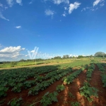 Terreno comercial à venda na Armando Botasso, 1152, Betel, Paulínia