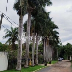 Chácara / sítio com 4 quartos à venda na Olyntho de Barros, 615, Residencial Burato, Campinas