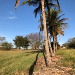 Terreno à venda na Fazenda Morro Lindo, s/n°, Parque dos Ipes, Holambra