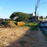 Terreno Comercial em Avenida Castelo branco  -  Registro