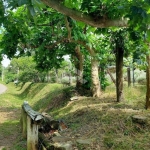 Área Rural em Monte Belo do Sul