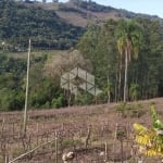 CHÁCARA, SÍTIO, PARREIRAS, LAGO E NATUREZA