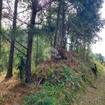 Terreno no bairro Sto Antão