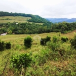 Chácara produtiva dos sonhos na Serra Gaúcha: viva em meio à natureza e prosperidade!