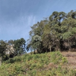 Terreno à venda na Rua Vereador Lucindo João Andreola, 118, Santo Antão, Bento Gonçalves