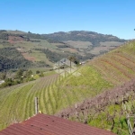 Área de terra no interior de Monte Belo do Sul