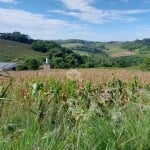 Terreno em área industrial localizada a 1 km da BR 470!