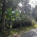 Terreno em Canto Grande/Mariscal Bombinhas  SC