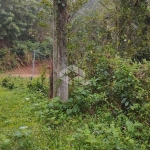 Terreno à venda no bairro Cerrito, em Santa Maria.