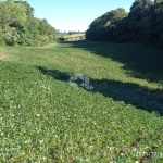 Chácara/Sítio/ àrea de terras em Itaara.