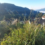 Terreno á venda Bairro Três Pinheiros em Gramado