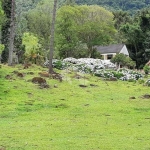 Sítio Encantador na Linha Araripe - Gramado