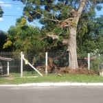 Terreno 440 m², 11 x 44 no Bairro  Estância Velha em Canoas