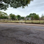 Terreno à venda  bairro Feitoria.