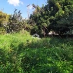 Chacara/Sitio para venda  na Estrada da Branquinha em Viamão.